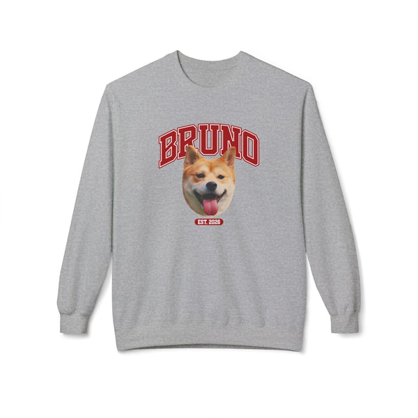 Campus design on a sweatshirt