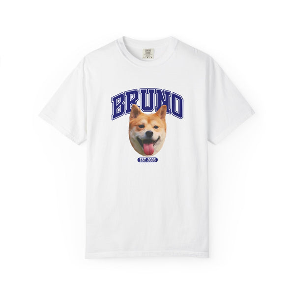 Campus design on a t-shirt
